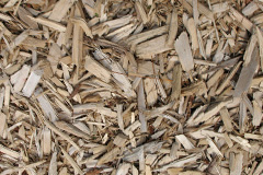 biomass boilers Lady Wood