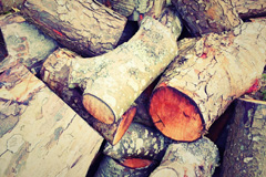 Lady Wood wood burning boiler costs